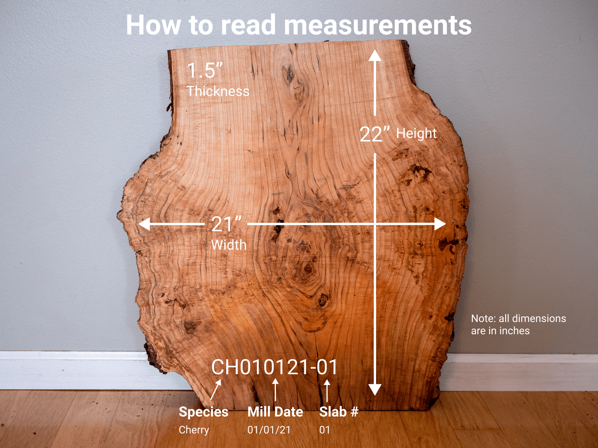 Hackberry HB062823-3 — Hillside Timber